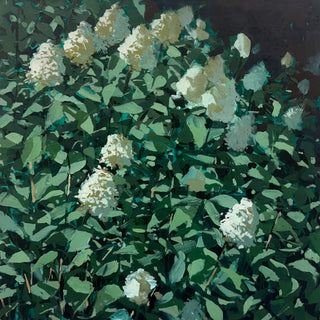 Cashiers Hydrangeas, 18"x18"