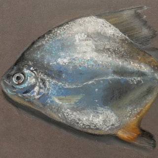 Summer Pastel XXV, 16" x 13"