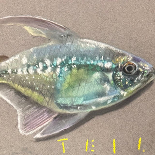 Summer Pastel XXI, 16" x 13"