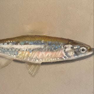 Summer Pastel XXVI, 16" x 13"
