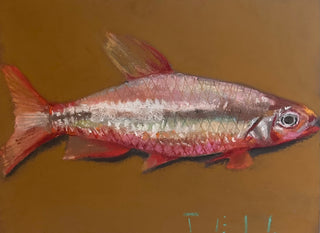 Summer Pastel XXVII, 16" x 13"