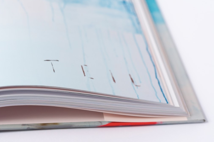 The Color Teil The Color Teil